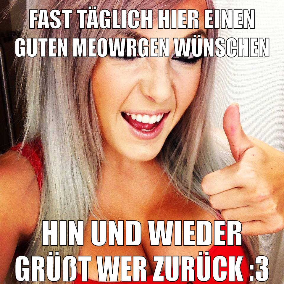 fast täglich hier einen guten meowrgen wünschen hin und wieder grüßt wer zurück :3