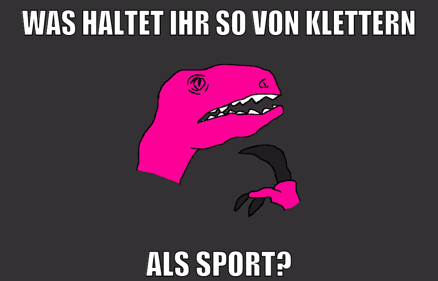 was haltet ihr so von klettern als sport?
