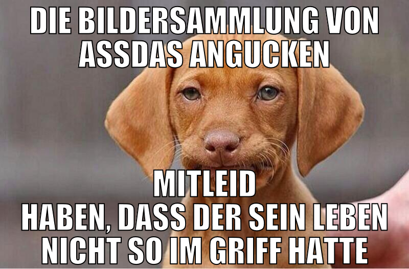 die bildersammlung von assdas angucken mitleid hab