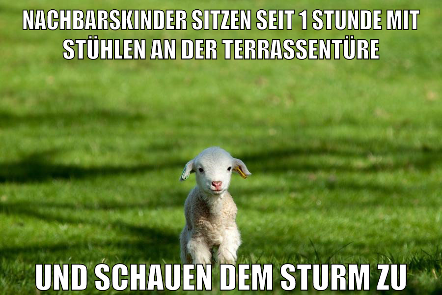 nachbarskinder sitzen seit 1 stunde mit stühlen an der terrassentüre und schauen dem sturm zu