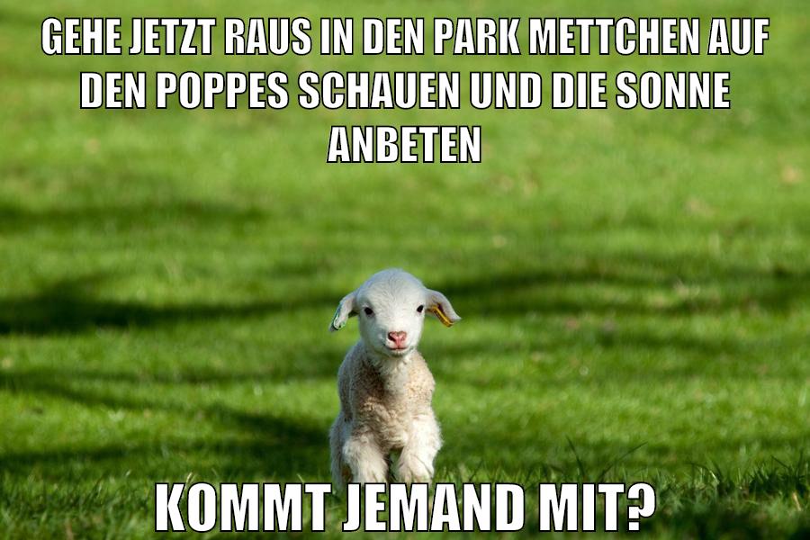 gehe jetzt raus in den park mettchen auf den poppes schauen und die sonne anbeten kommt jemand mit?