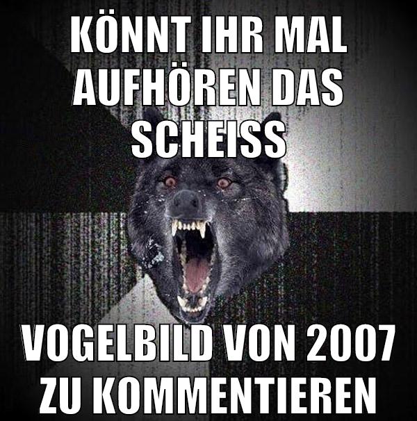 könnt ihr mal aufhören das scheiß vogelbild von 2007 zu kommentieren