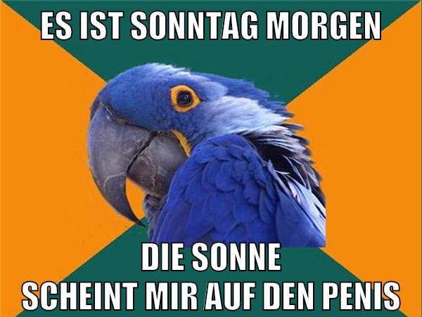 Es ist sonntag morgen die sonne scheint mir auf den Penis