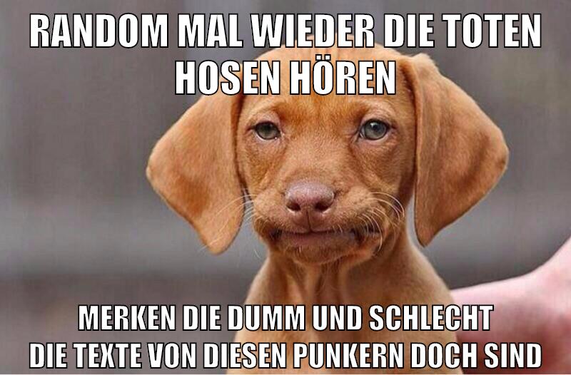 random mal wieder die toten hosen hören merken die dumm und schlecht die texte von diesen punkern doch sind