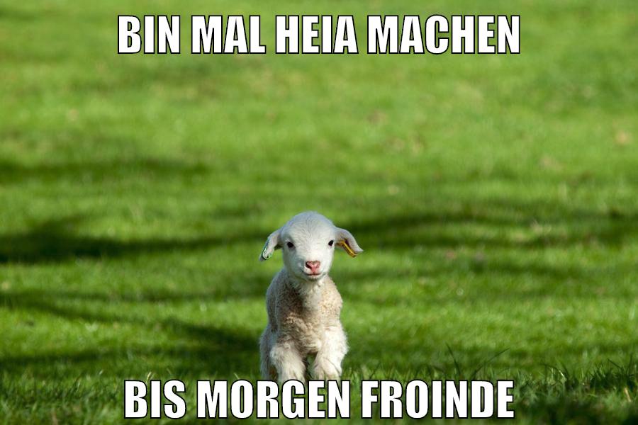 bin mal heia machen bis morgen froinde