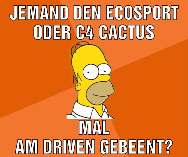 jemand den ecosport oder c4 cactus mal am driven gebeent?