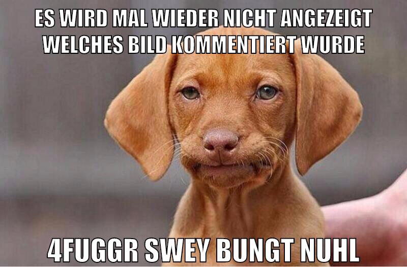 es wird mal wieder nicht angezeigt welches bild kommentiert wurde 4fuggr swey bungt nuhl