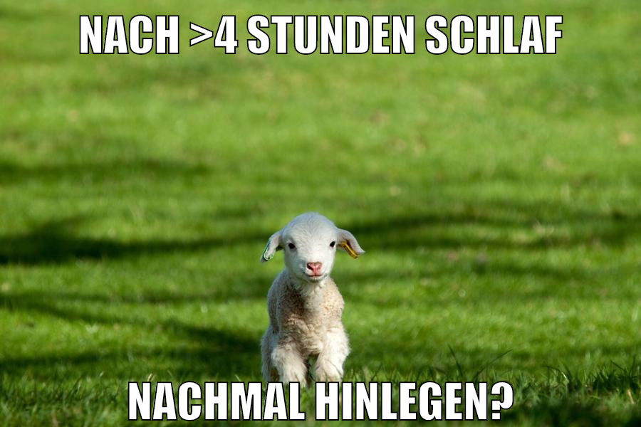 nach >4 stunden schlaf nachmal hinlegen?