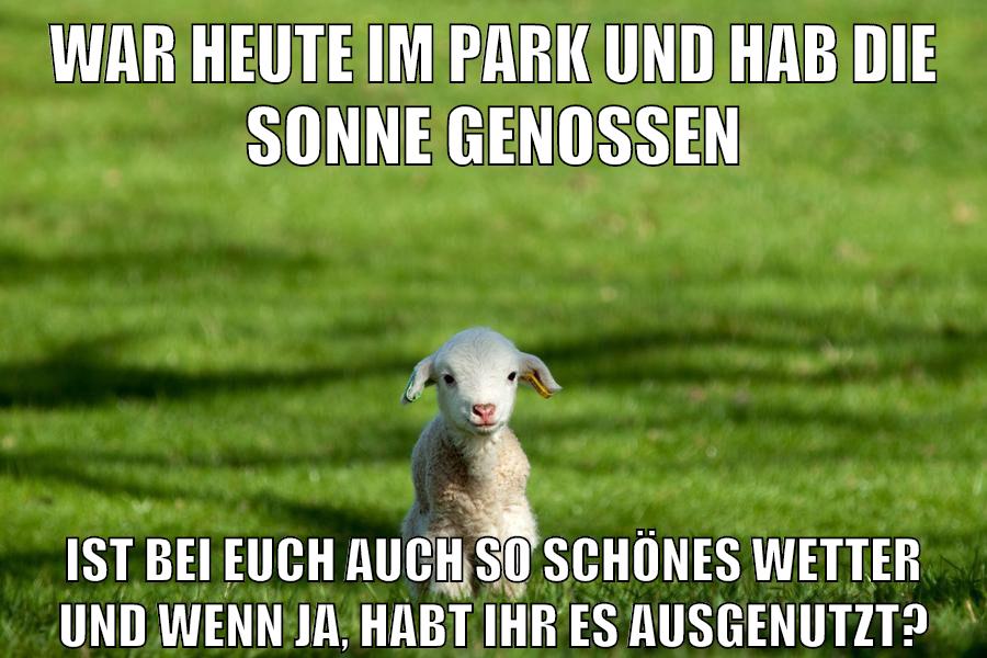 war heute im park und hab die sonne genossen ist bei euch auch so schönes wetter und wenn ja, habt ihr es ausgenutzt?