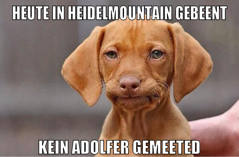 heute in heidelmountain gebeent kein adolfer gemeeted