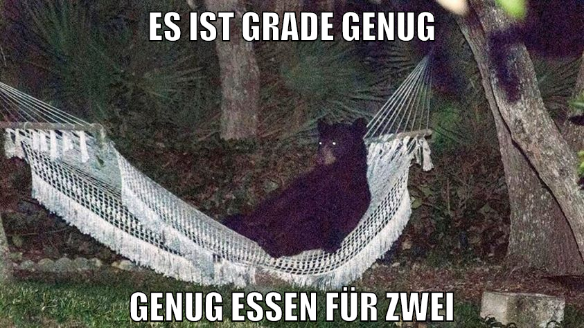 es ist grade genug genug essen für zwei