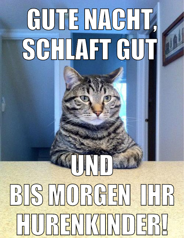 Gute Nacht, schlaft gut und bis Morgen  ihr HUrenkinder!