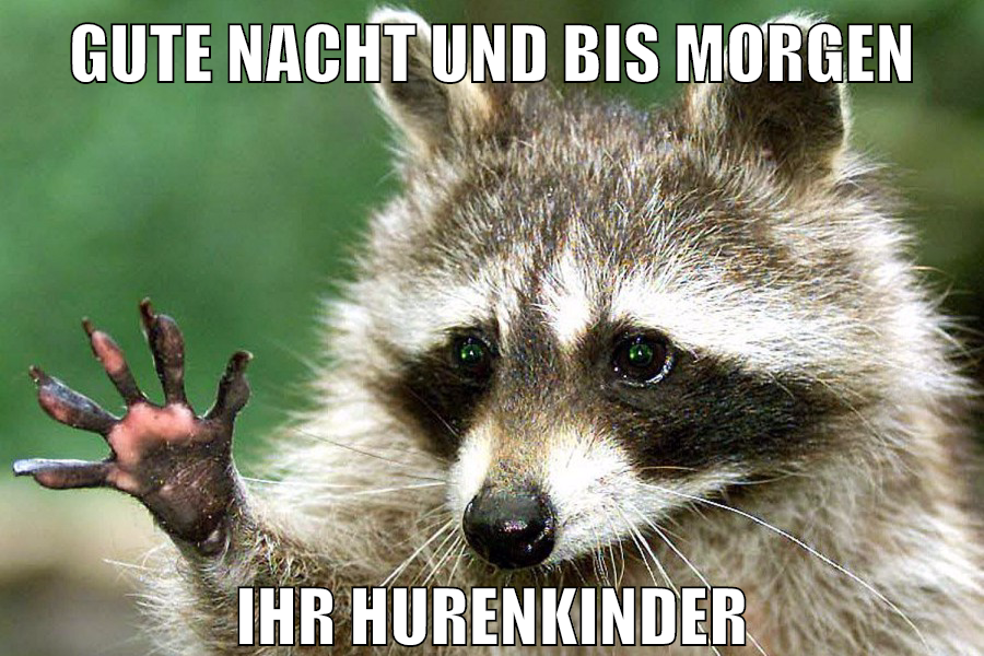Gute Nacht und bis morgen Ihr Hurenkinder