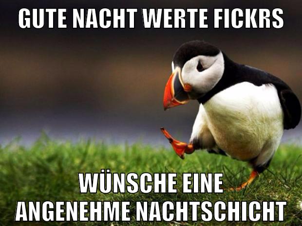 gute nacht werte fickrs wünsche eine angenehme nachtschicht