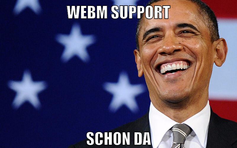 webm support schon da