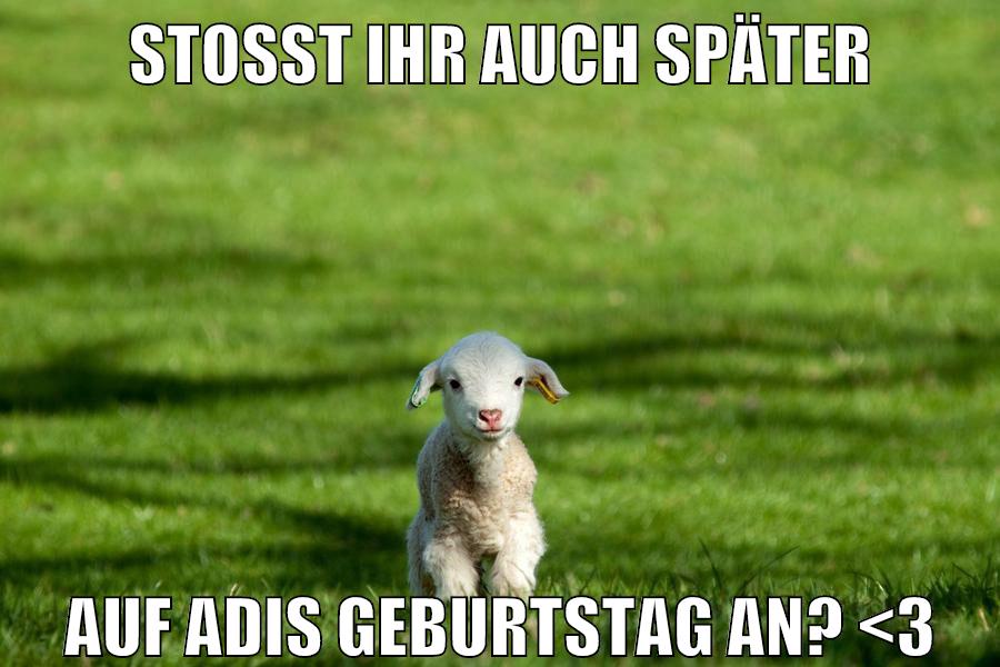 stoßt ihr auch später auf adis geburtstag an? <3