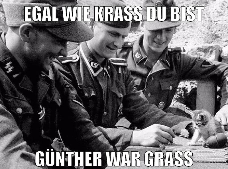 egal wie krass du bist günther war grass