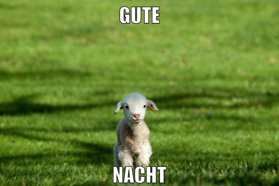 gute nacht
