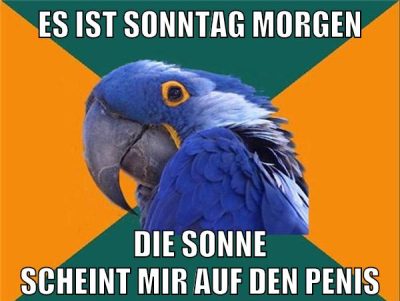 Es ist sonntag morgen die sonne scheint mir auf den Penis
