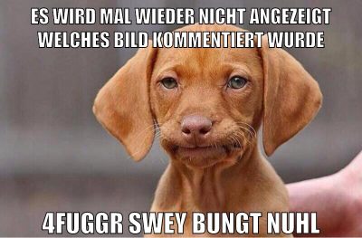 es wird mal wieder nicht angezeigt welches bild kommentiert wurde 4fuggr swey bungt nuhl
