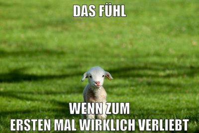 das fühl wenn zum ersten mal wirklich verliebt