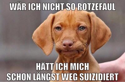 wär ich nicht so rotzefaul hätt ich mich schon längst weg suizidiert
