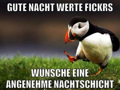 gute nacht werte fickrs wünsche eine angenehme nachtschicht