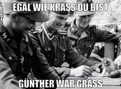 egal wie krass du bist günther war grass