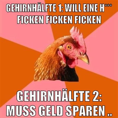 Gehirnhälfte 1: Will eine H*** ficken ficken ficken Gehirnhälfte 2: Muss geld sparen ..