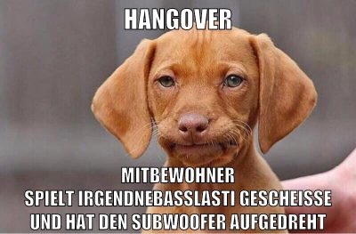 hangover mitbewohner spielt irgendnebasslastigescheiße und hat den subwoofer aufgedreht