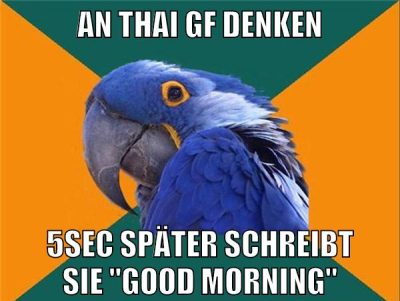 an thai gf denken 5sec später schreibt sie "good morning"