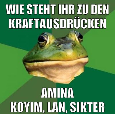 wie steht ihr zu den kraftausdrücken amina koyim, lan, sikter