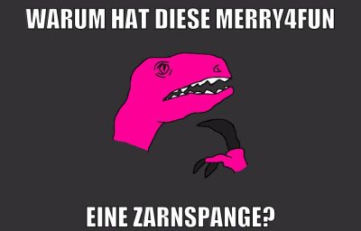 warum hat diese merry4fun eine zarnspange?