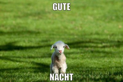 gute nacht