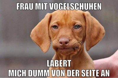 Frau mit Vogelschuhen Labert mich dumm von der Seite an