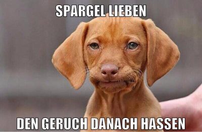 Spargel lieben den geruch danach hassen