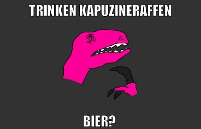 Trinken Kapuzineraffen Bier?