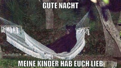 gute nacht meine kinder hab euch lieb