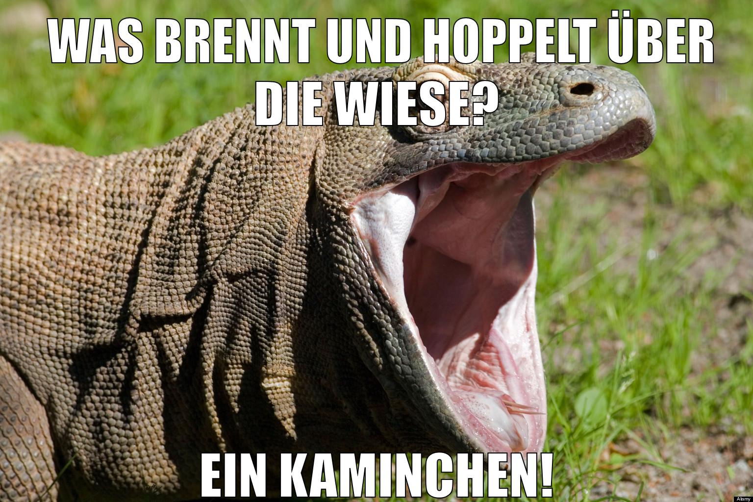 Was brennt und hoppelt über die Wiese? ein kaminchen!