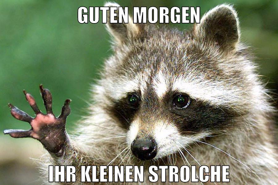 guten morgen ihr kleinen strolche