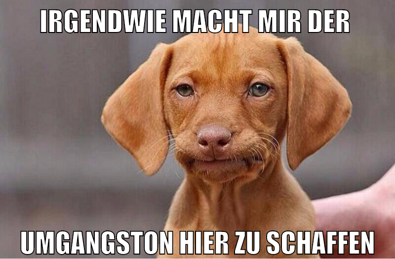 Irgendwie macht mir der Umgangston hier zu schaffen