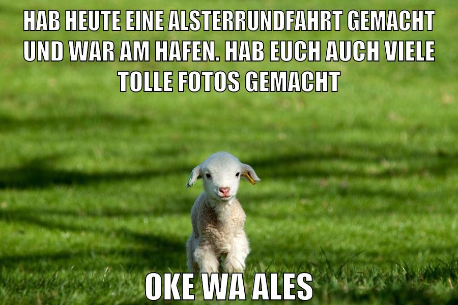 hab heute eine alsterrundfahrt gemacht und war am hafen. hab euch auch viele tolle fotos gemacht oke wa ales
