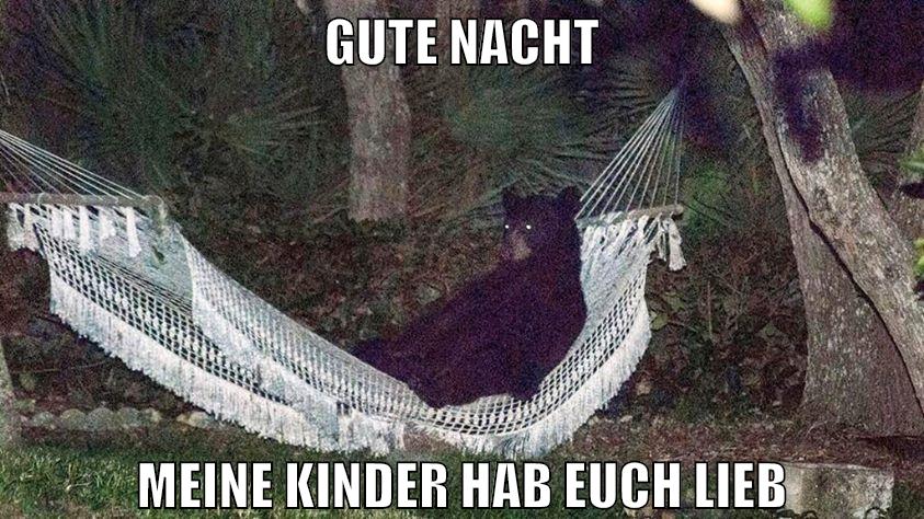 gute nacht meine kinder hab euch lieb