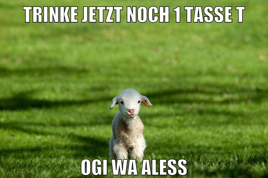trinke jetzt noch 1 tasse t ogi wa aleSS