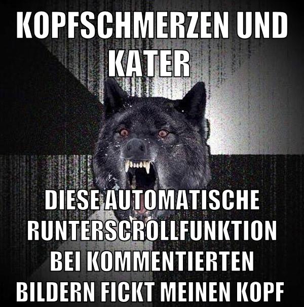 kopfschmerzen und kater diese automatische runterscrollfunktion bei kommentierten bildern fickt meinen kopf