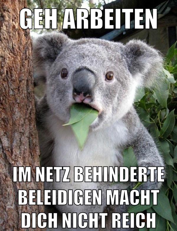 Geh arbeiten im Netz Behinderte beleidigen macht dich nicht reich
