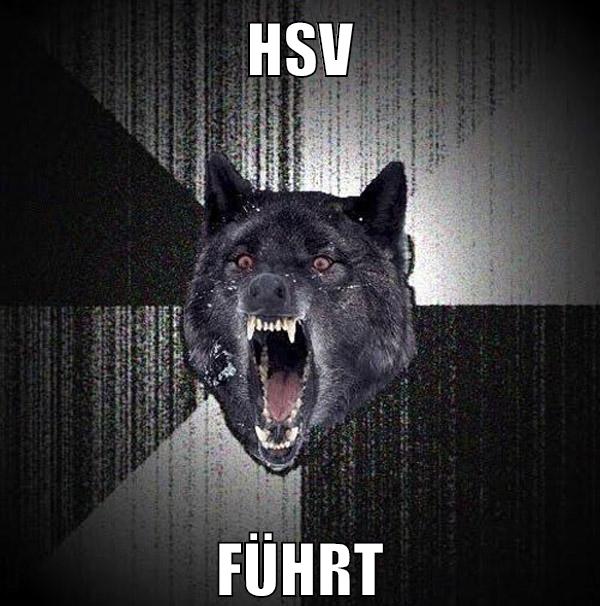 hsv führt