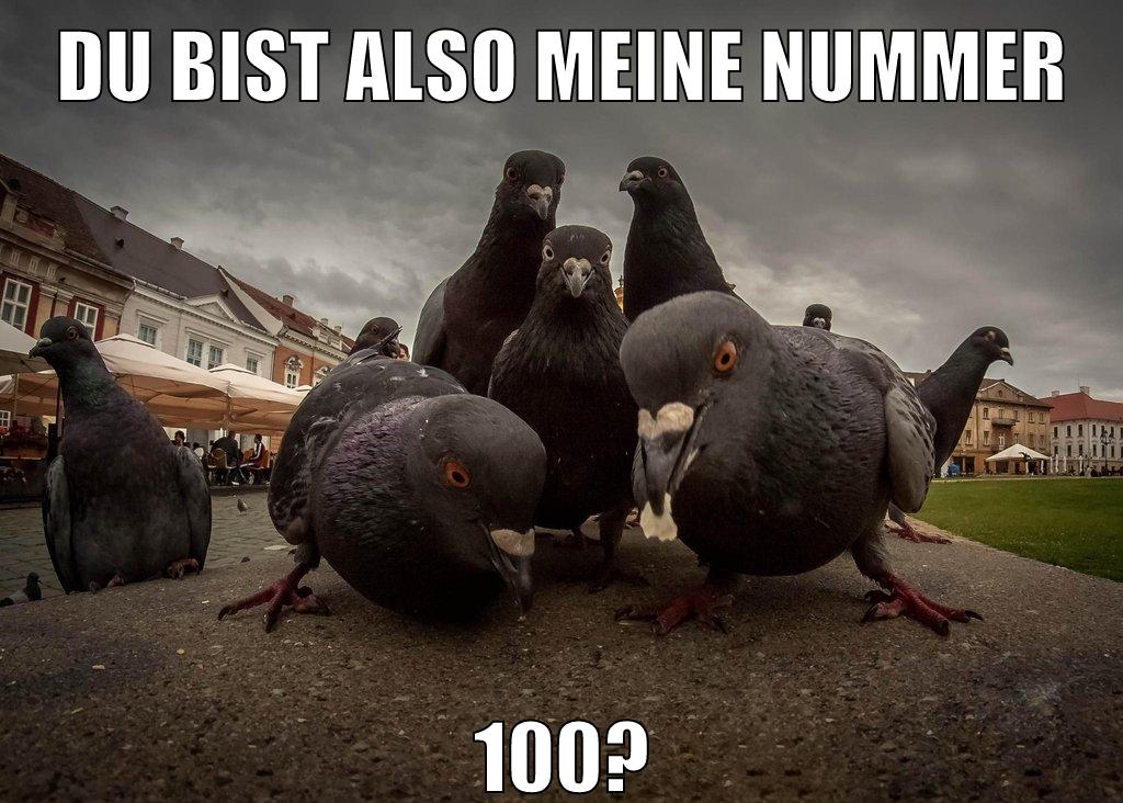 Du BISt ALSO meine nummer 100?