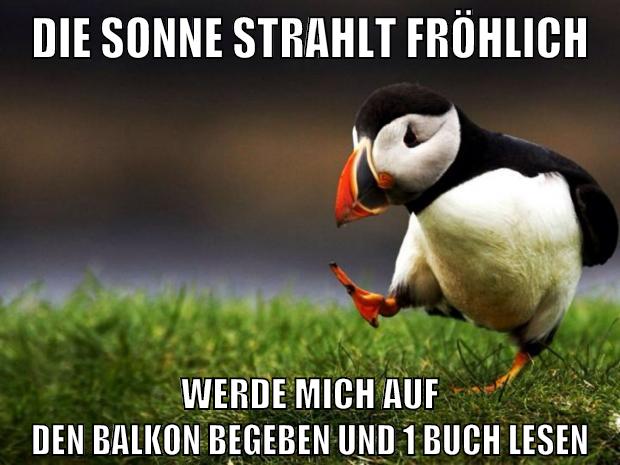 die sonne strahlt fröhlich werde mich auf den balkon begeben und 1 buch lesen