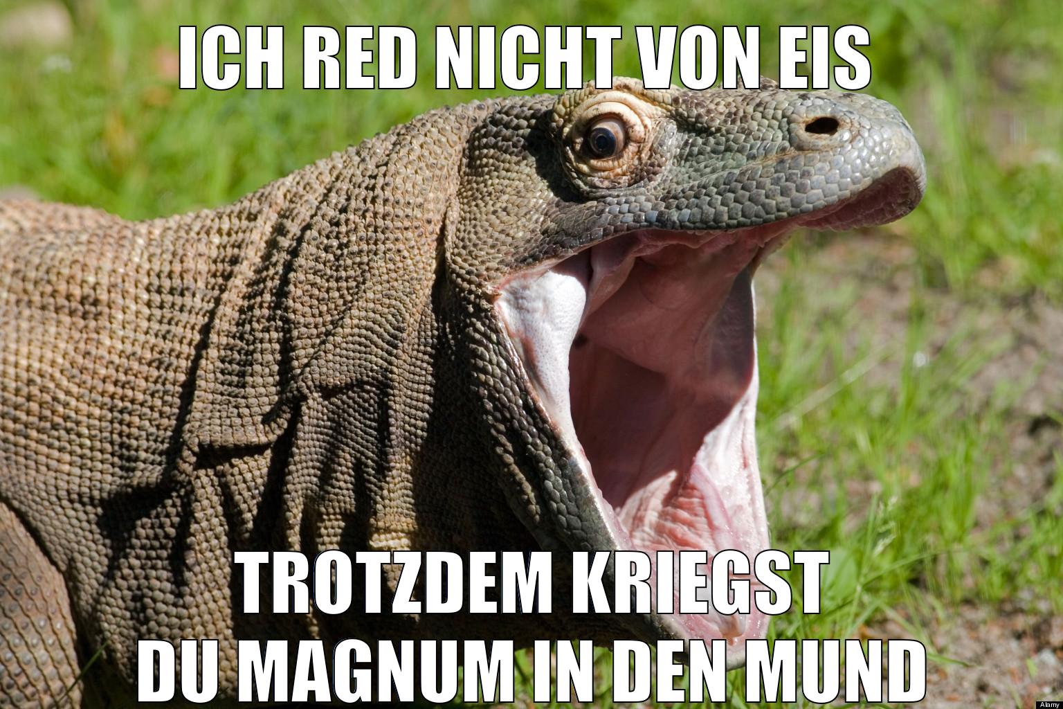 Ich red nicht von Eis Trotzdem kriegst du Magnum in den Mund